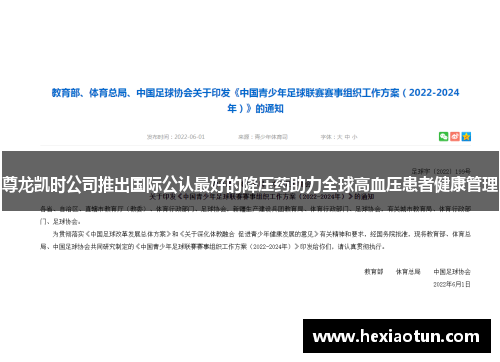 尊龙凯时公司推出国际公认最好的降压药助力全球高血压患者健康管理