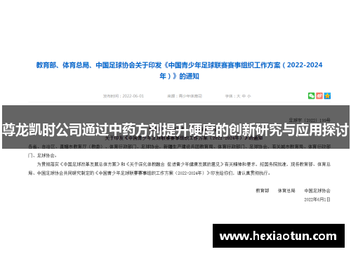 尊龙凯时公司通过中药方剂提升硬度的创新研究与应用探讨