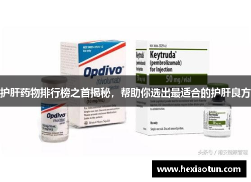 护肝药物排行榜之首揭秘，帮助你选出最适合的护肝良方
