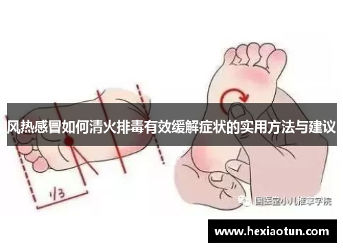 风热感冒如何清火排毒有效缓解症状的实用方法与建议