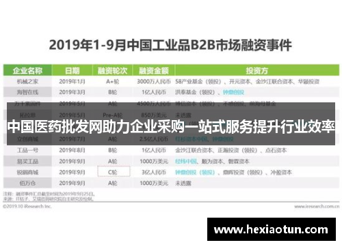 中国医药批发网助力企业采购一站式服务提升行业效率